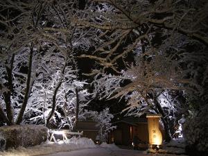離れ玄関　雪景色