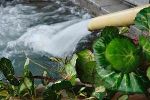 ツルツルすべすべ「美肌の湯」