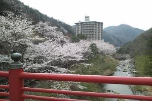 ホテル外観　(桜の季節)