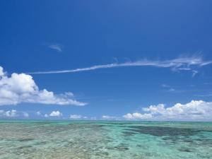 ながんぬ島の海