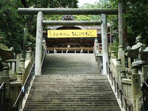【金刀比羅宮】有名なこんぴらさんの参道の石段