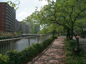 【800×600】目黒川桜並木2