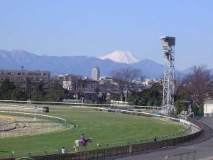 ■東京競馬場PartI・・・様々なG1が開催、夏には花火大会もございます♪