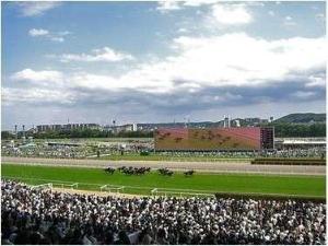 ■東京競馬場PartII・・・走る馬に一目惚れ♪なんってことも♪