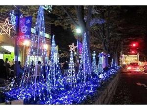 ■府中駅前のけやき並木・・・クリスマスにはネオンが通りを輝かせます♪