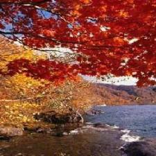 十和田湖　紅葉