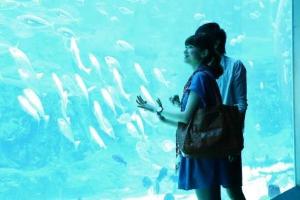 海きらら