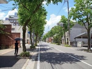 ホテル前街路樹