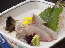 やまめのお造り（川魚のお造り）（一例）