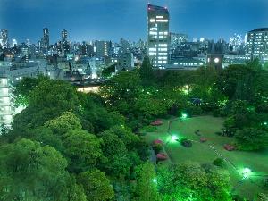 ジュニアスイートルームからの望む夜の大隈庭園