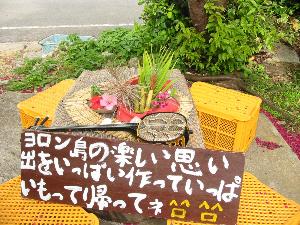 ヨロン島の楽しい思い出を沢山つくって沢山お持ち帰り下さい