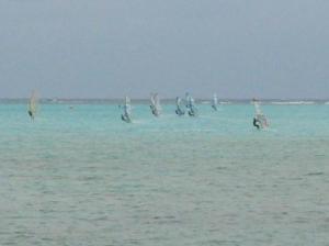 ヨロン島の冬はウィンドサーフィンの季節。本土から沢山のウィンドサーファーが暖かい海と風を求めて南の島・ヨロン島へいらっしゃいます♪