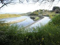 【サイクリングロード】球磨川を中心に名所をのんびりと回れるサイクリングロードが整備されています。