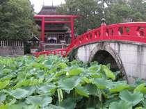 青井神社