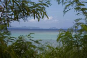 島から眺めた海