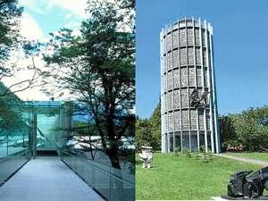ポーラ美術館＆彫刻の森美術館