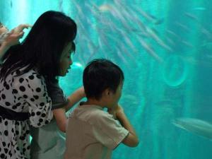☆日本一標高の高い場所にある淡水・海水水族館