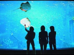 ☆箱根園水族館