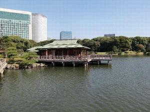 ホテルから徒歩約５分の浜離宮恩賜庭園では休憩所で抹茶を楽しむことができます♪