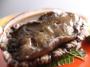 素潜りで獲られることで知られる「由良産　黒鮑」