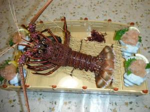 伊勢海老（大）