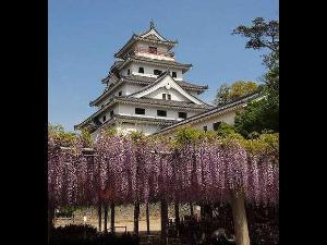 美しいたたずまいの唐津城