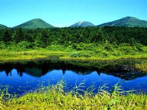 八甲田の風景。新緑～夏の季節は、散策もおススメ！