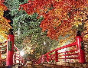 隣町黒石市にある紅葉の名所「中野もみじ山」