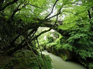 こおろぎ橋