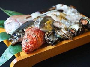 【～大漁会席～日本海で水揚げされた海の幸】新鮮で美味しいお魚を中心とした和会席