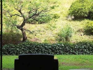【全面リニューアルされたデザイナーズラウンジ】季節によって彩りを変える庭園を眺める落ち着いた空間
