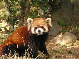 宮崎市フェニックス自然動物園