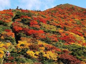 蔵王の紅葉