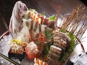 みんなが集まる家族の記念日に人気の『鯛姿造り』で祝宴に花を添えて(一尾6000円～)