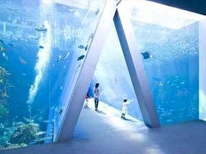 環境水族館アクアマリンふくしま 黒潮と親潮の潮目の海をテーマにした大水槽です