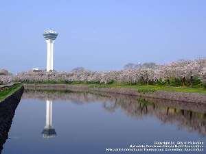 ホテルから徒歩５分には五稜郭公園があり、春には桜の名所で人がにぎわう。