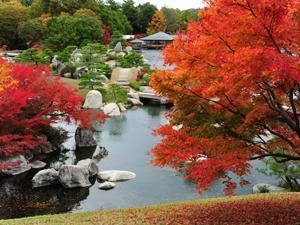 隣接する日本庭園「三景園」の紅葉