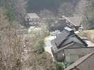 自然に囲まれた宿