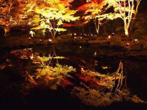 円通院の紅葉ライトアップ。期間中はホテルから当日ご宿泊のお客様向けの送迎バスを運行致します。