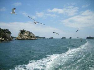 松島に来たら一同は体験してほしい遊覧船。島々を間近で見ることができます♪
