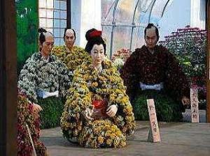 ◆北見菊まつり（全道一の伝統と規模で開催されます）