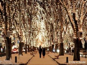 ◆１２月イベント（仙台光のページェント）