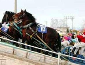 ◆十勝ばんえい競馬