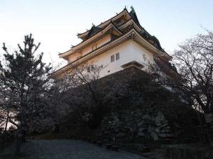 和歌山城（桜）