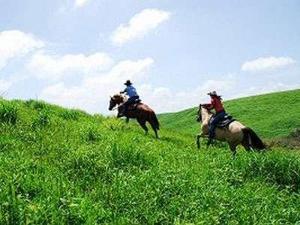 【エルパティオ牧場】　乗馬にて草原を楽しむ