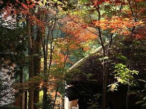 秋の風景　離れ外観