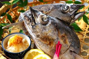 頭を丸ごと豪快に焼いた‥【鰹ビンタ焼き】身は柔らかくで絶品です！！！