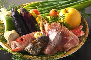 新鮮な食材！珍しい高知の食材に出逢えるかも？！