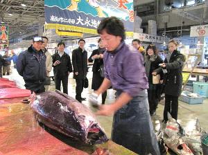 市場体験ツアー！マグロの解体があちこちで見れるよ！一見の価値あり！