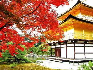 金閣寺
